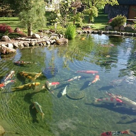 Haus Am Koiteich Villa Plau am See Eksteriør bilde