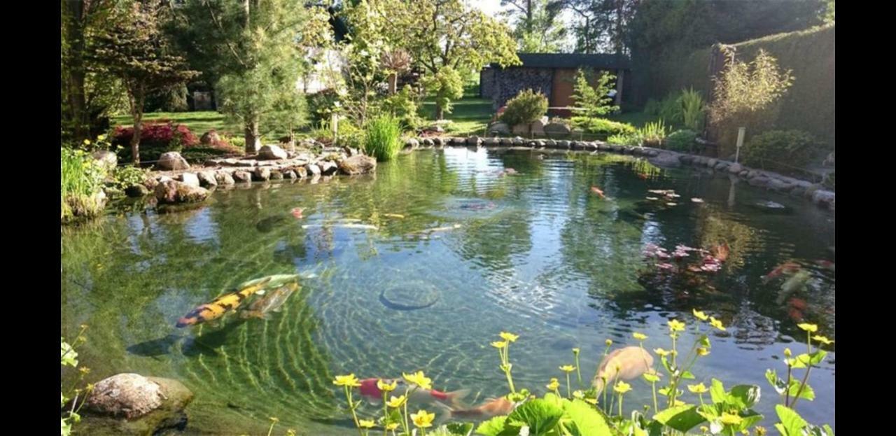 Haus Am Koiteich Villa Plau am See Eksteriør bilde